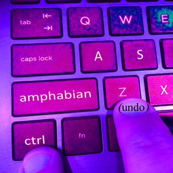 AMPHABIAN – Ctrl+Z (Undo)