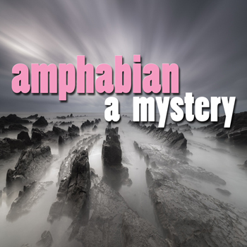 Amphabian:  A Mystery