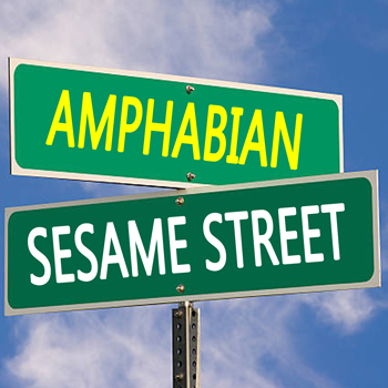 AMPHABIAN – Sesame Street (Single)