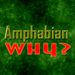 AMPHABIAN-Why?-thumbnail